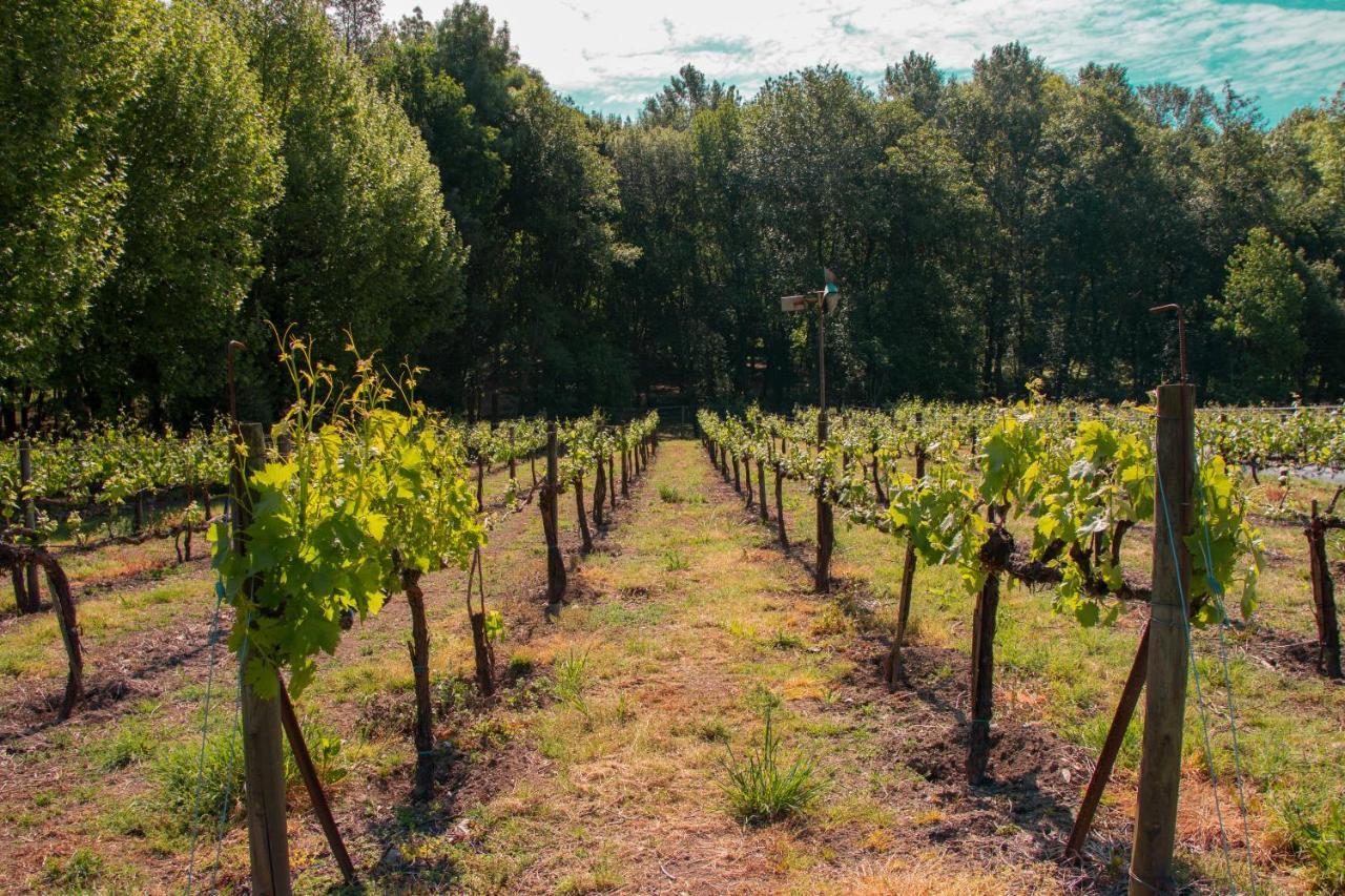 Вилла Quinta De Requeixo Гимарайнш Экстерьер фото